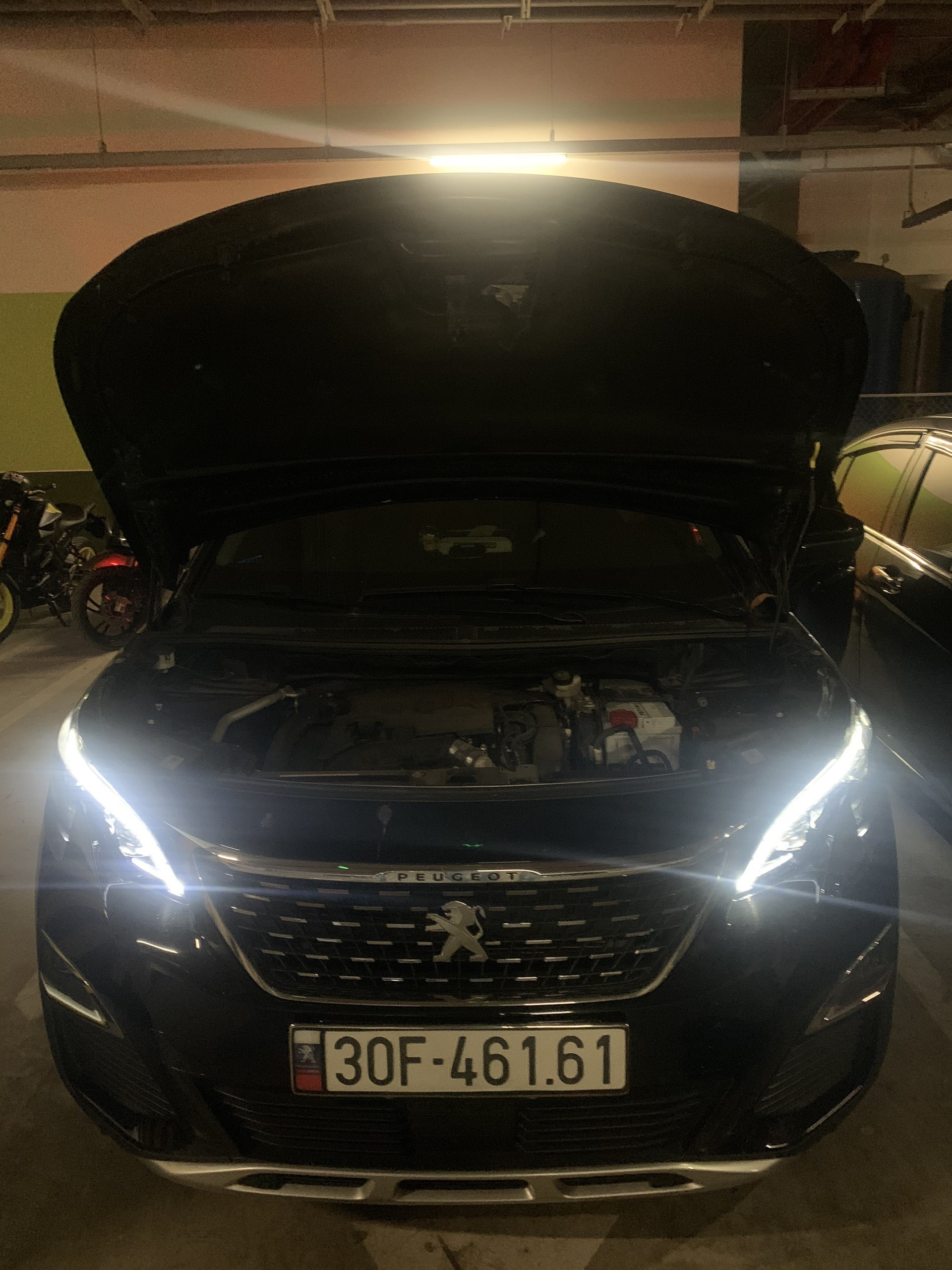 ắc quy agm cho xe peugeot 3008