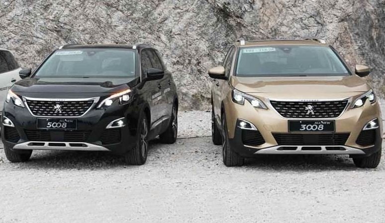 ắc quy cho xe peugeot