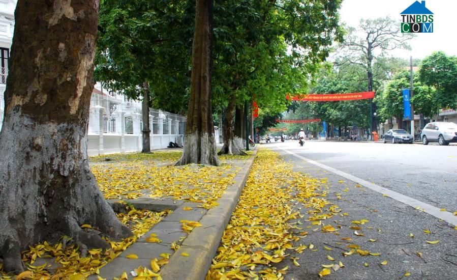 cuu-ho-ac-quy-tai-đường trần phú ba đình